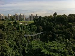 Blk 85 Telok Blangah Heights (Bukit Merah), HDB 5 Rooms #163067132